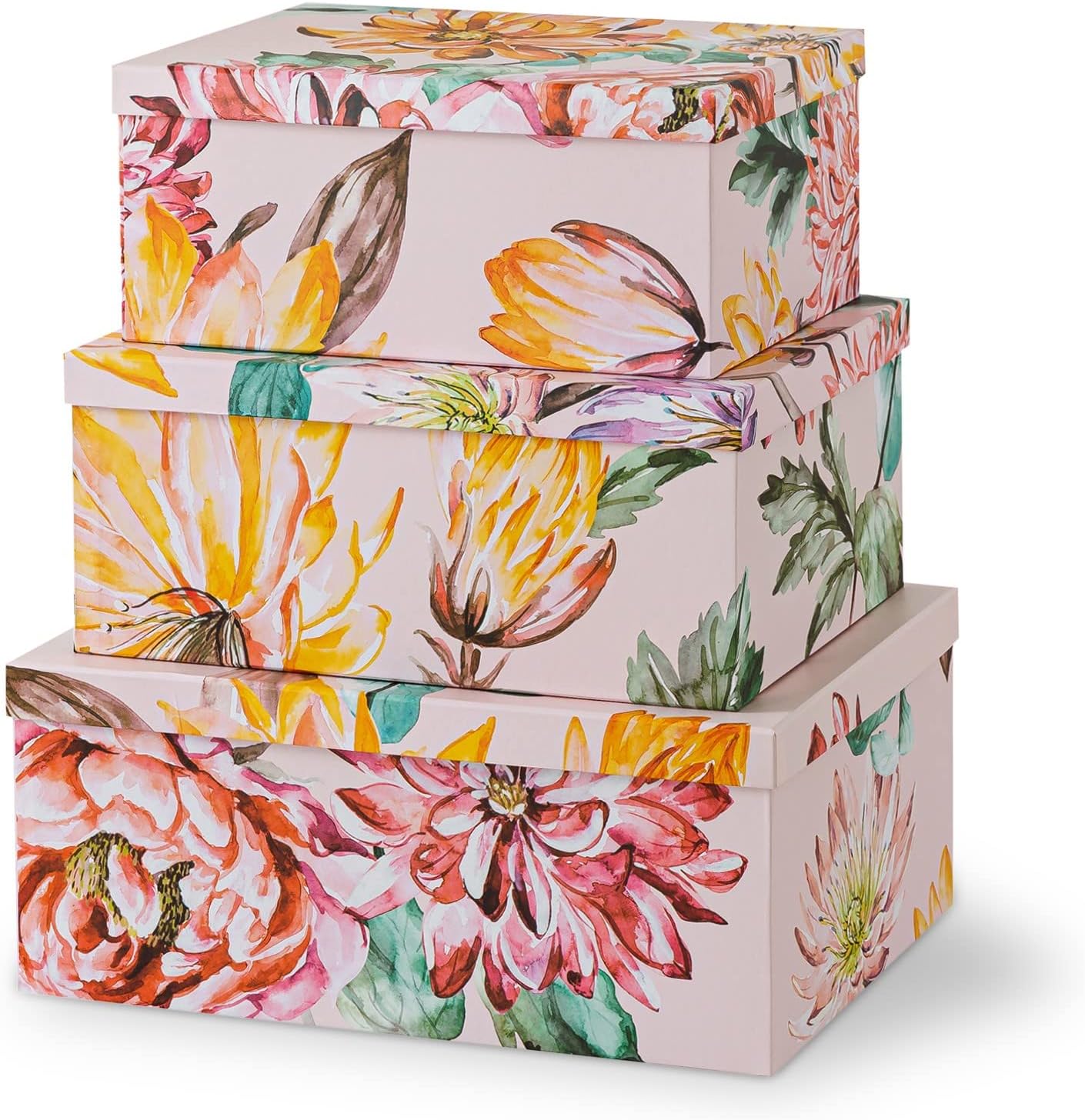 Soul & Lane Decorative Cardboard Storage Boxes with Lids for Home Decor and Organization, Set of 3 Large Keepsake Boxes for Memories & Gifts, Nesting Floral Photo Storage Containers, Beauty in Bloom