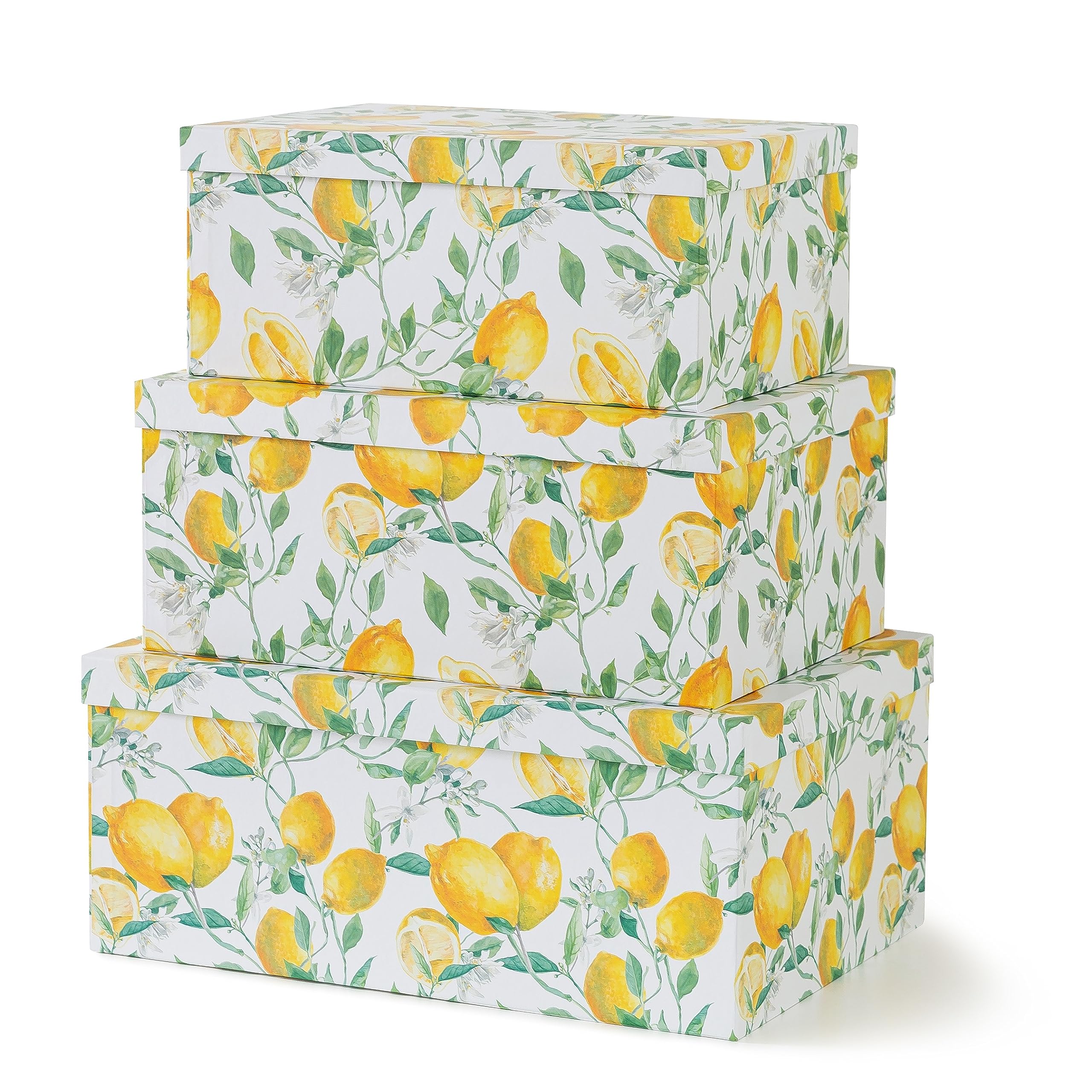 Soul & Lane Decorative Cardboard Storage Boxes with Lids for Home Decor and Organization, Set of 3 Large Keepsake Boxes for Memories & Gifts, Nesting Floral Photo Storage Containers, Beauty in Bloom